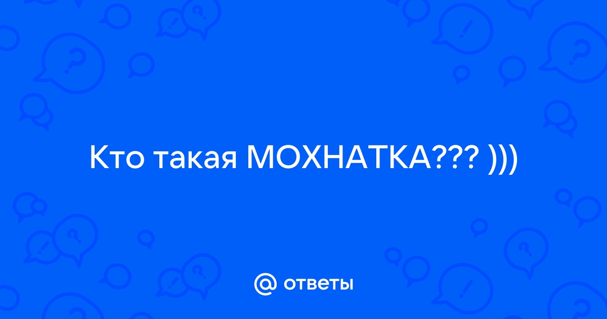 Мисс Шерстяное лицо рассказала новороссийцам о своей философии + видео