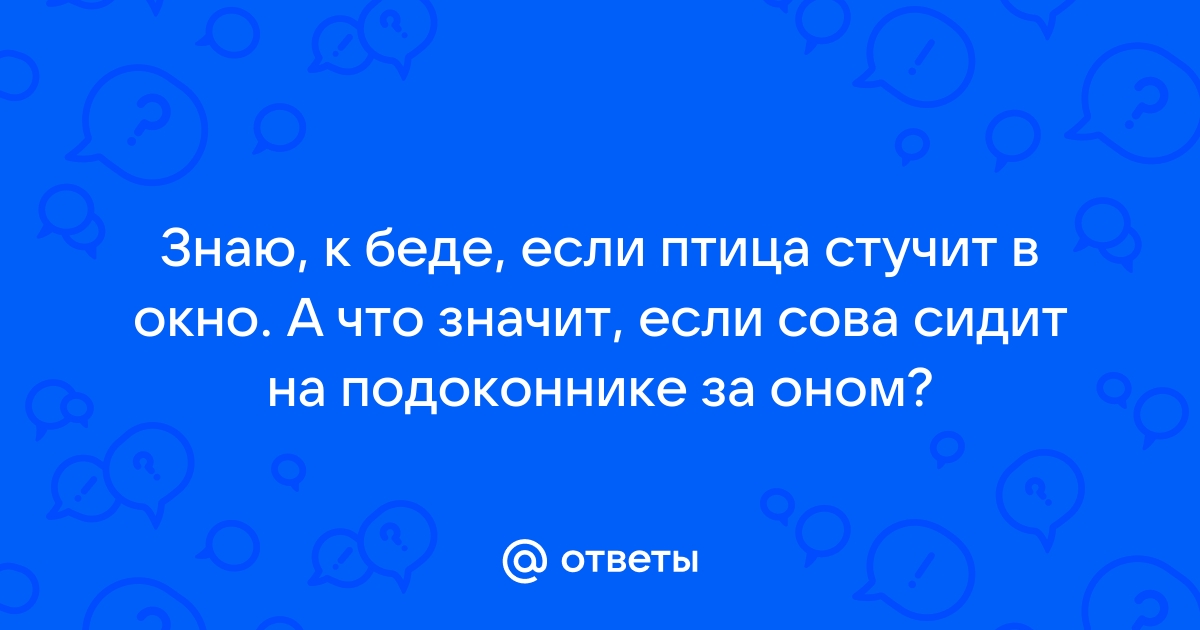 Что значит, если птица стучит в окно: народные поверья | Костюковичи. Новости