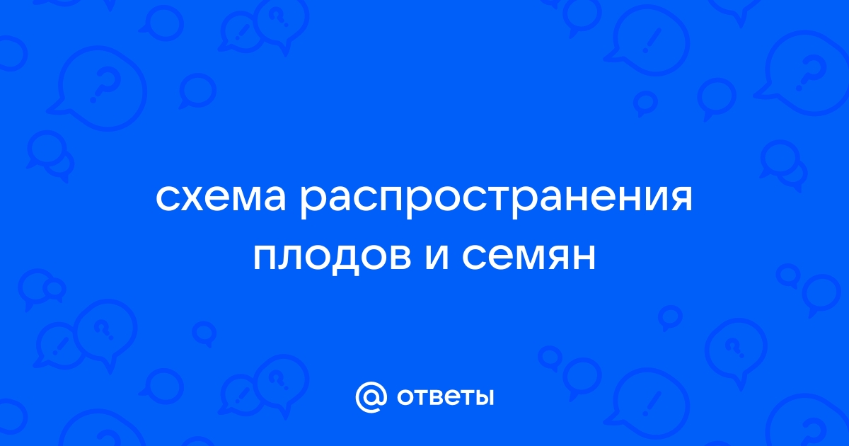 Оценка влияния схемы посева сахарной свёклы на урожайность