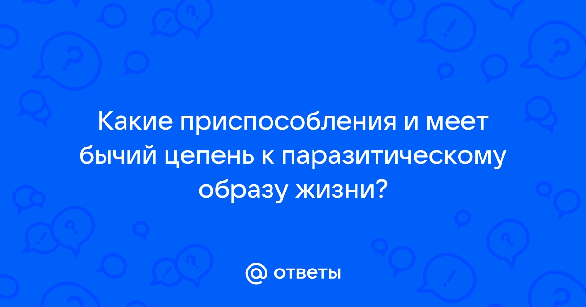 Вы точно человек?