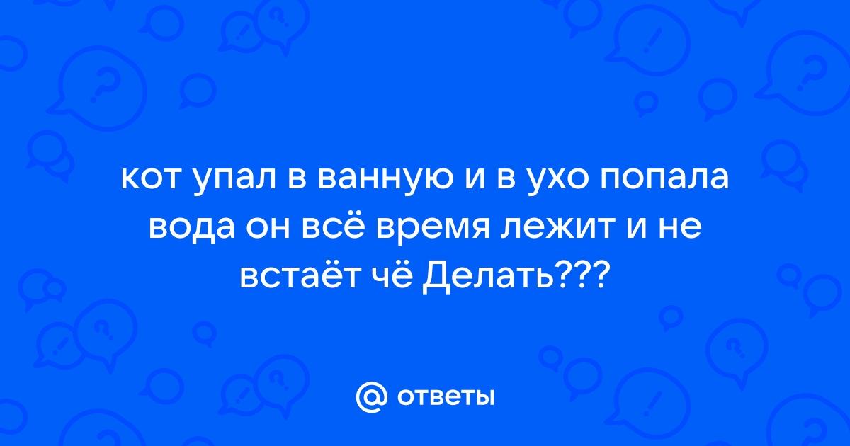 Кот упал в ванну с водой что делать