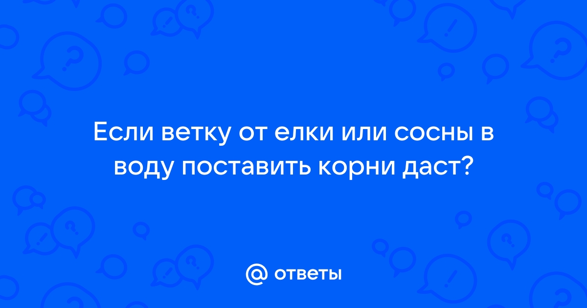 Несем в комнату весну! Какие ветки выбрать и как «распускать» | мебель-дома.рф