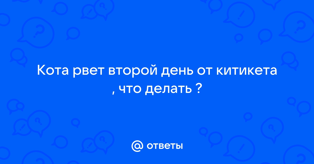 Кошку рвет после еды: почему бывает рвота у кошек – что делать