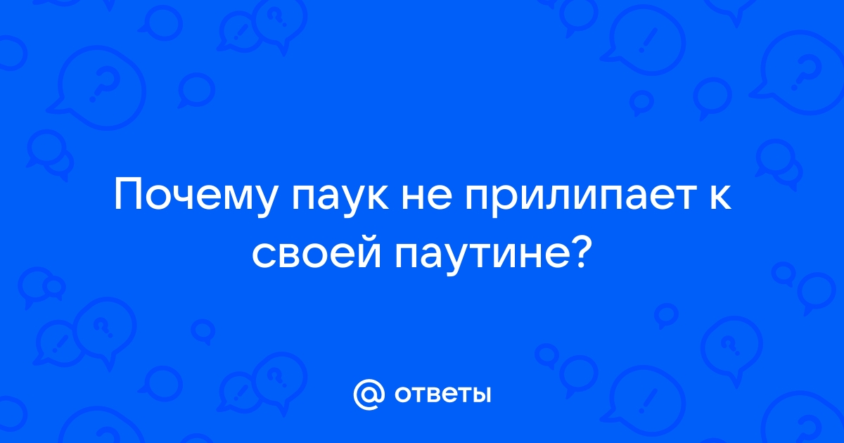 Почему пауки не застревают в своей паутине