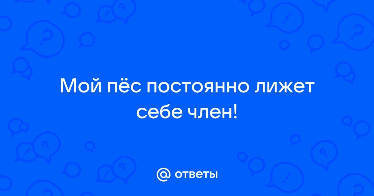 Мужик вылизывает пизду жене и кончает себе на живот порно фотки