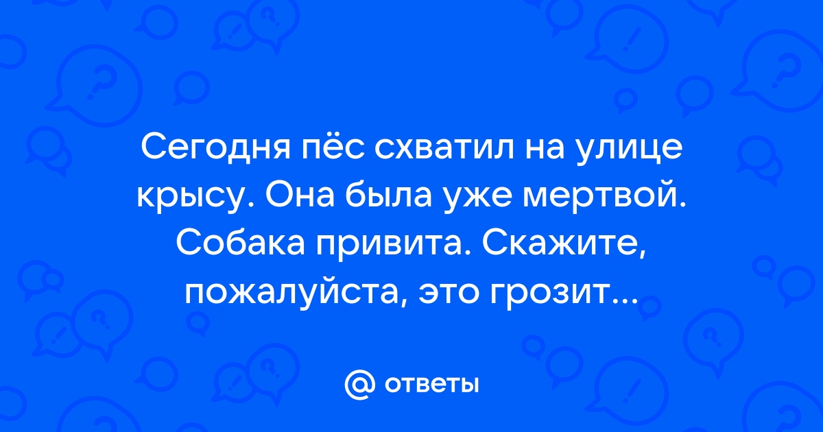 Антитоксическое действие Гамавита | Ветеринарная аптека Добропесик