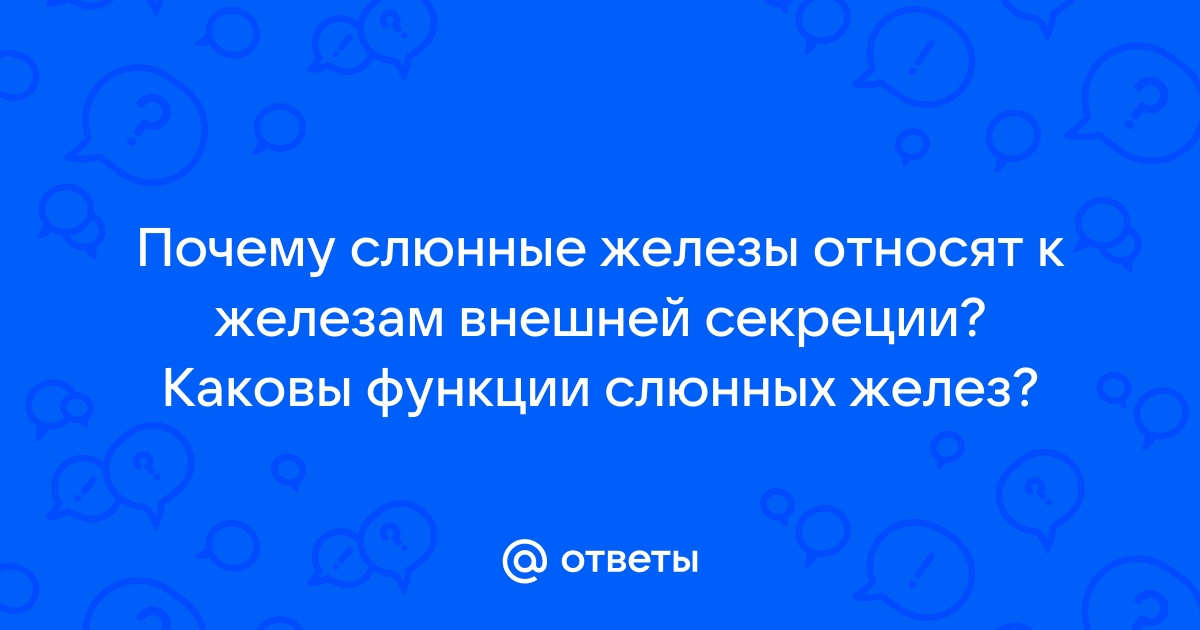 Экзокринные железы человека — Биология с Марией Семочкиной на global-taxi.ru