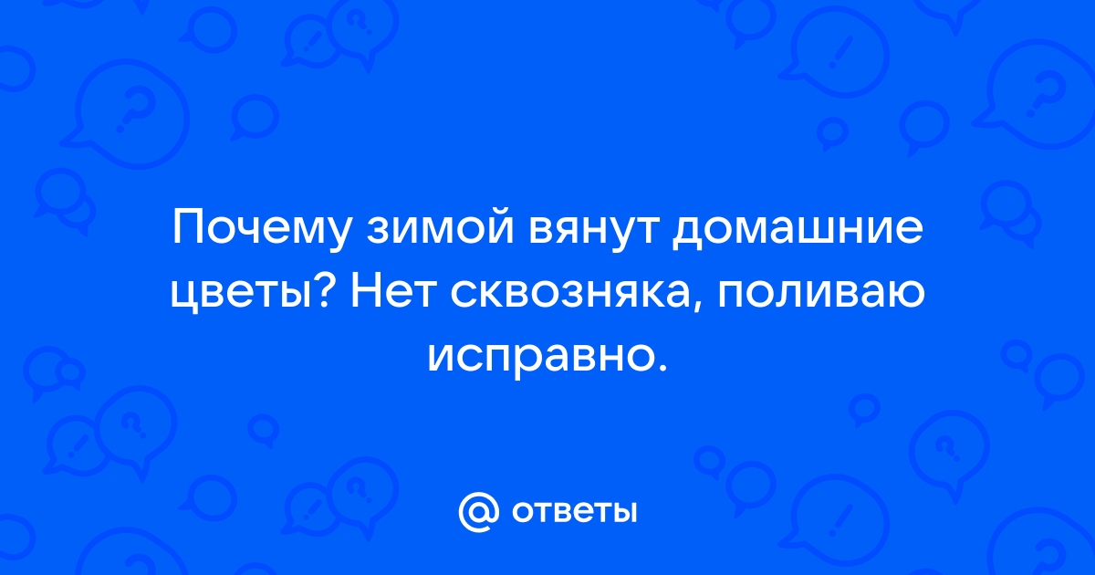 Спасаем комнатные цветы: как вдохнуть жизнь в увядающее растение