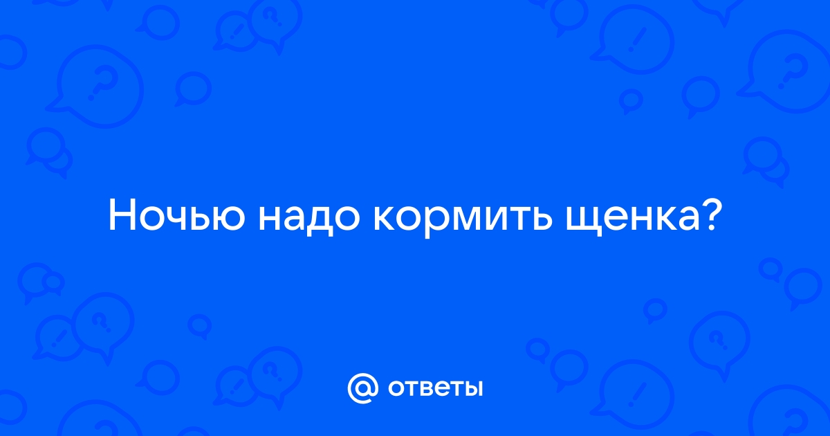 Ответы Mail.ru: Ночью надо кормить щенка?