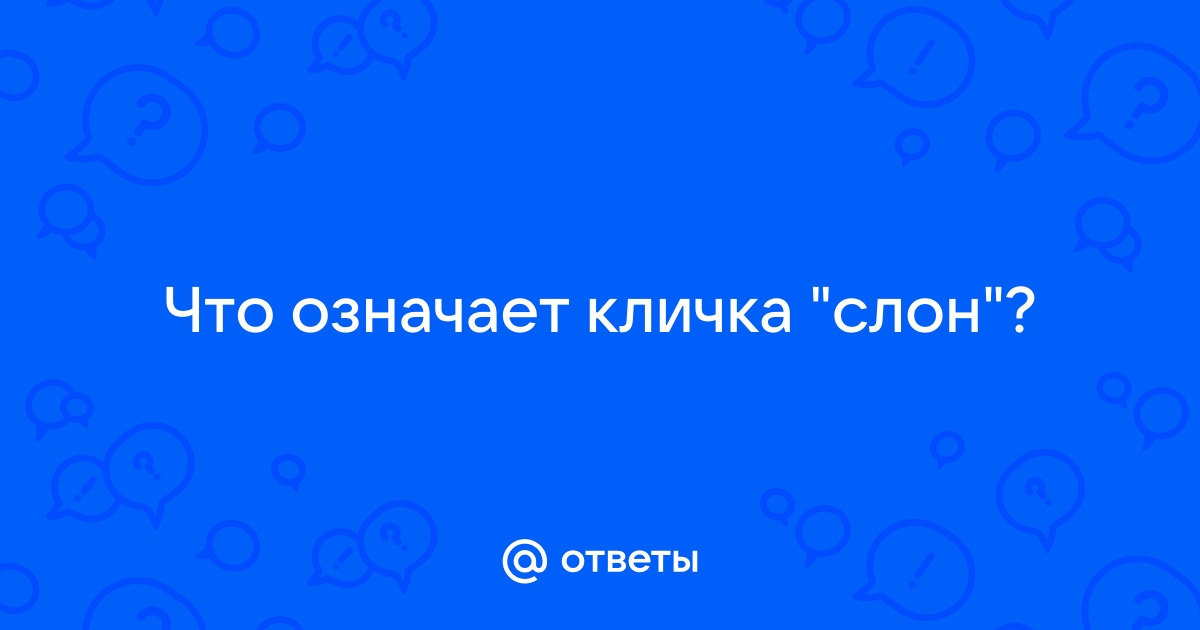 Что означает кличка флай