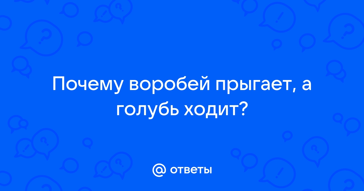 Почему воробьи прыгают а не ходят?