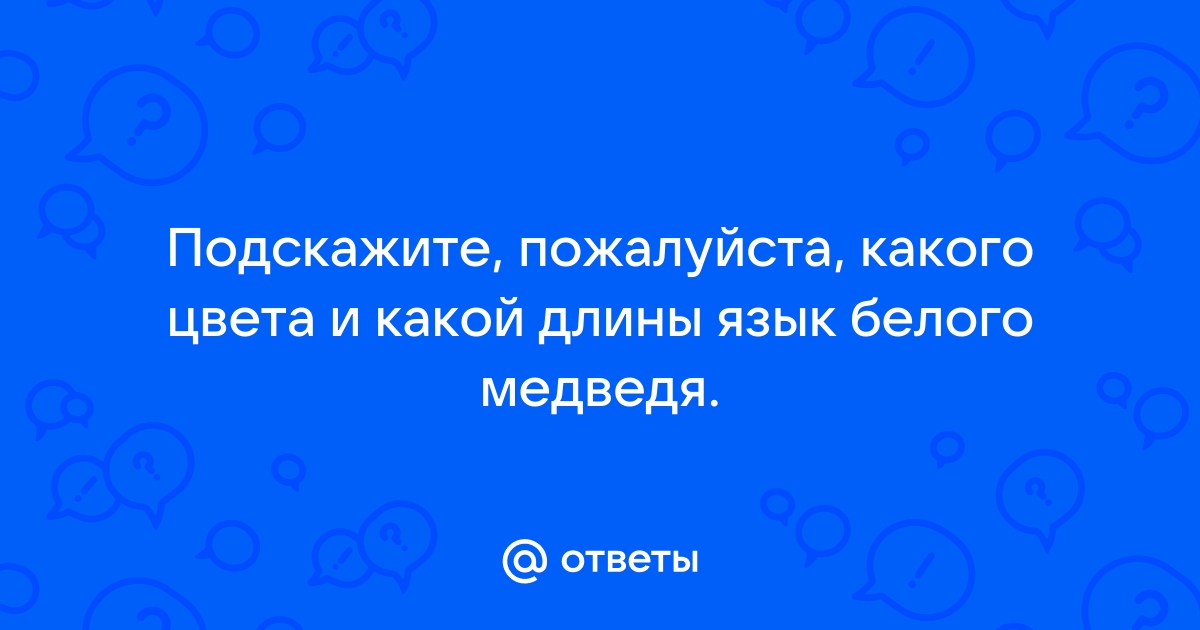 День белого медведя: 12 интересных фактов и опыты для детей