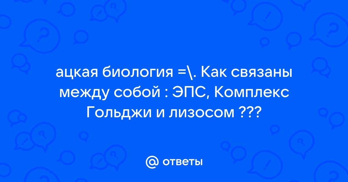 Одномембранные органоиды