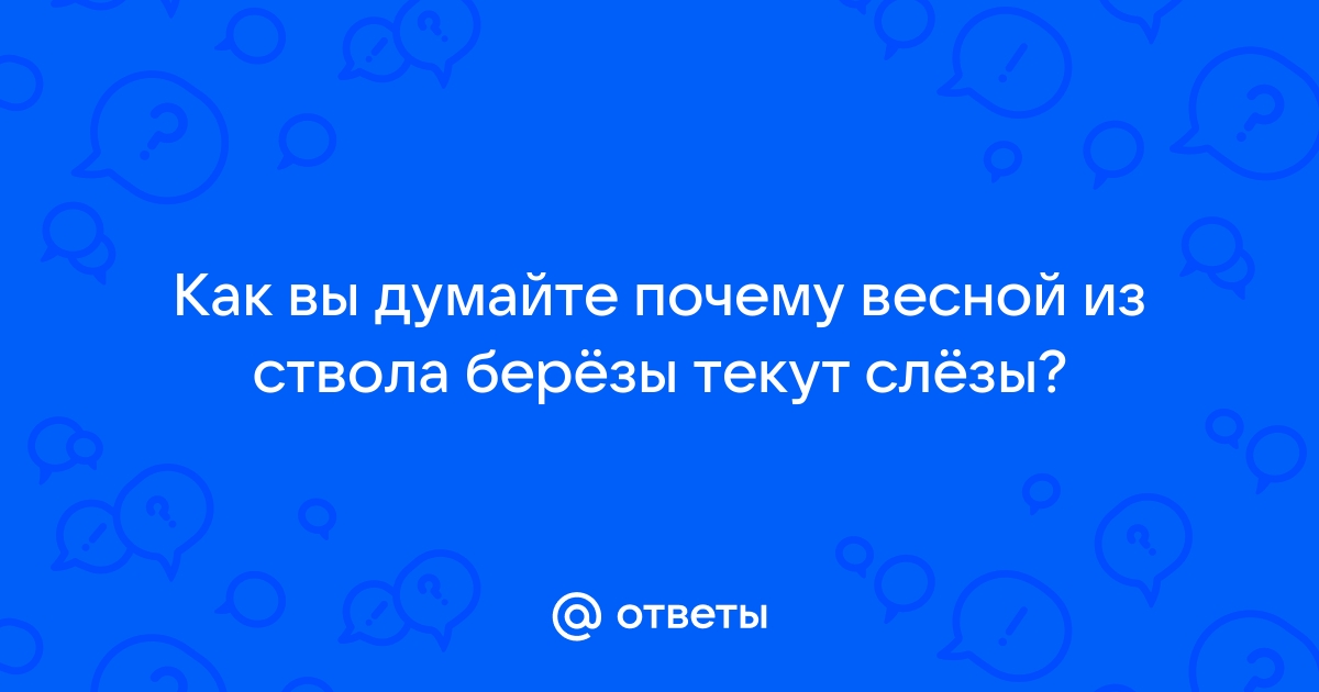 Отчего так в России березы шумят…