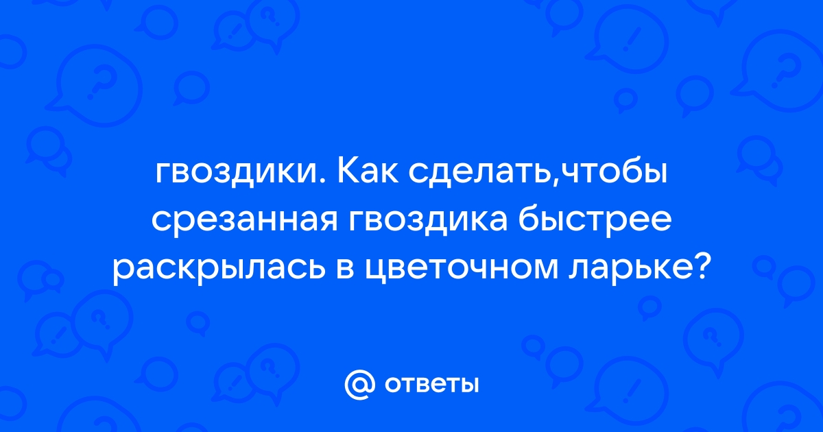 Как сохранить гвоздики в вазе подольше