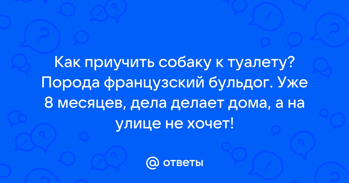 Как приучить щенка французского бульдога к туалету