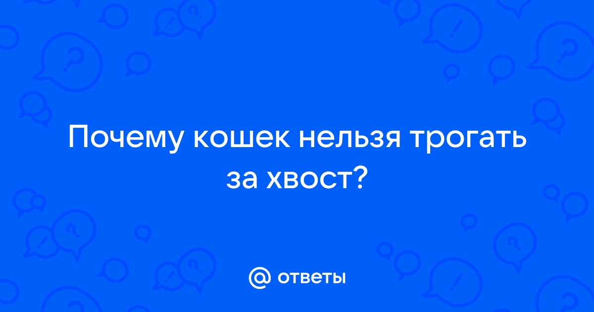 Почему нельзя дергать кошку за хвост?