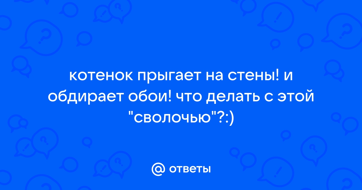 Что делать если кошка обдирает обои