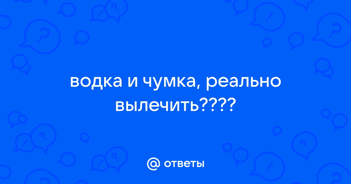 Водка - можно ли давать кошке при отравлении?