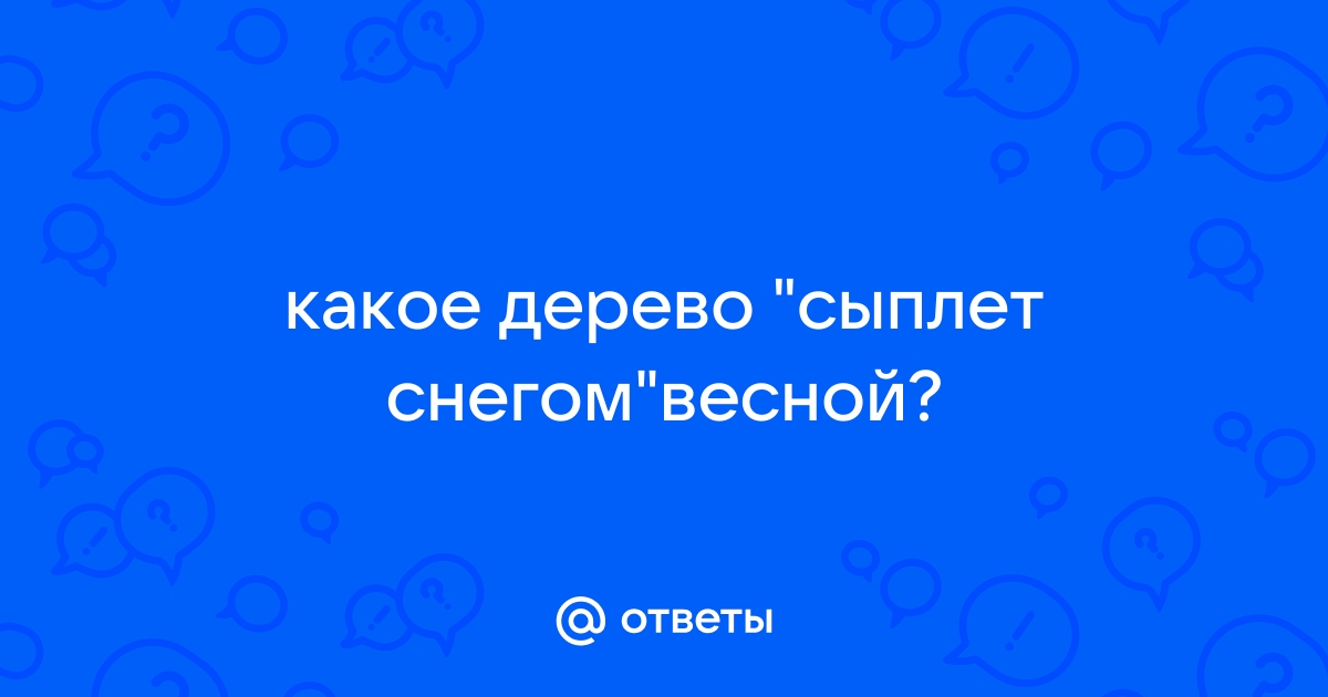 Картинки сыплет черемуха снегом (68 фото) » Картинки и статусы про окружающий мир вокруг