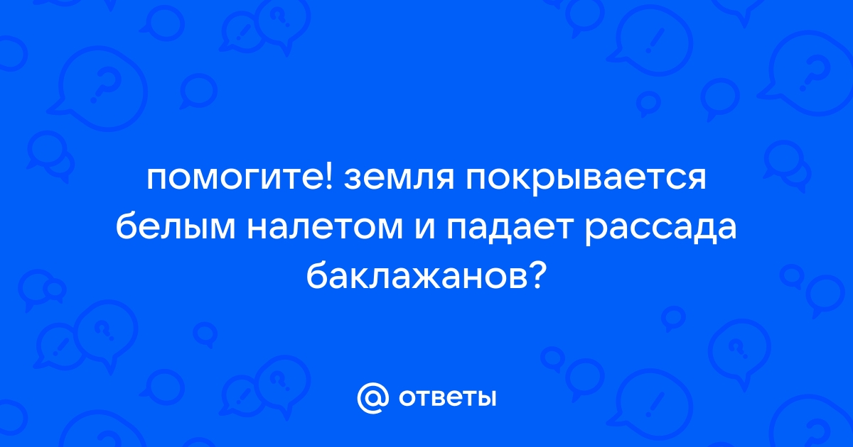 Ответы спа-гармония.рф: помогите! земля покрывается белым налетом и падает рассада баклажанов?