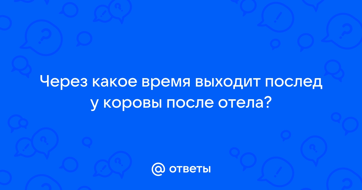 Почему у козы не выходит послед?