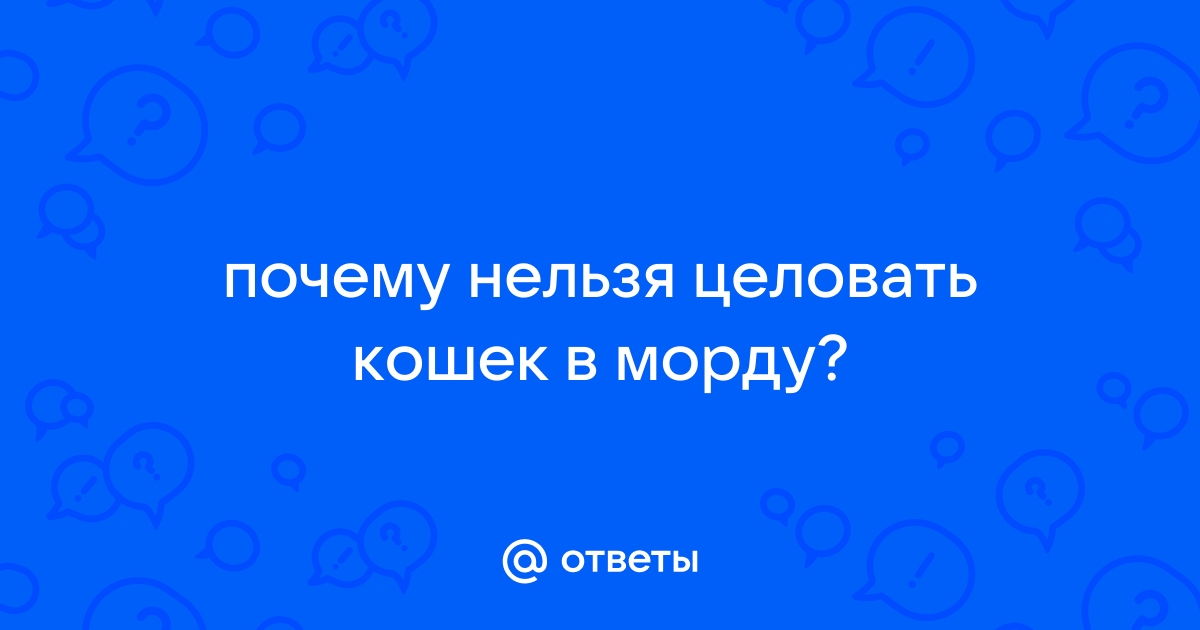 Почему нельзя целоваться с котом