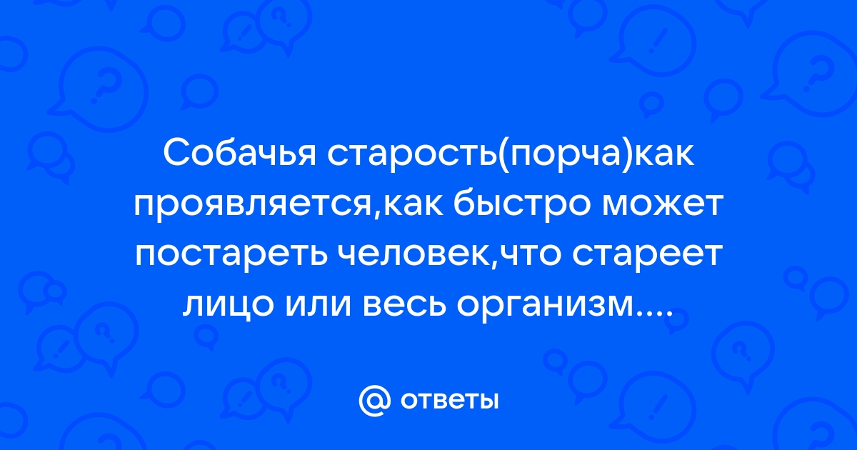 Как вылечить собачью старость