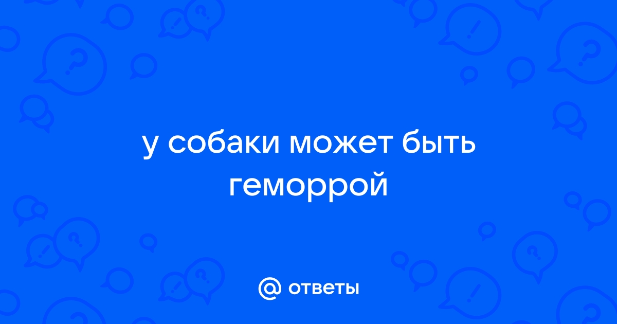 Даже у собак бывает геморрой: как же лечить?