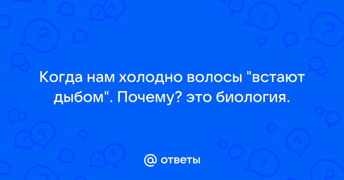 Почему когда нам холодно волосы встают дыбом