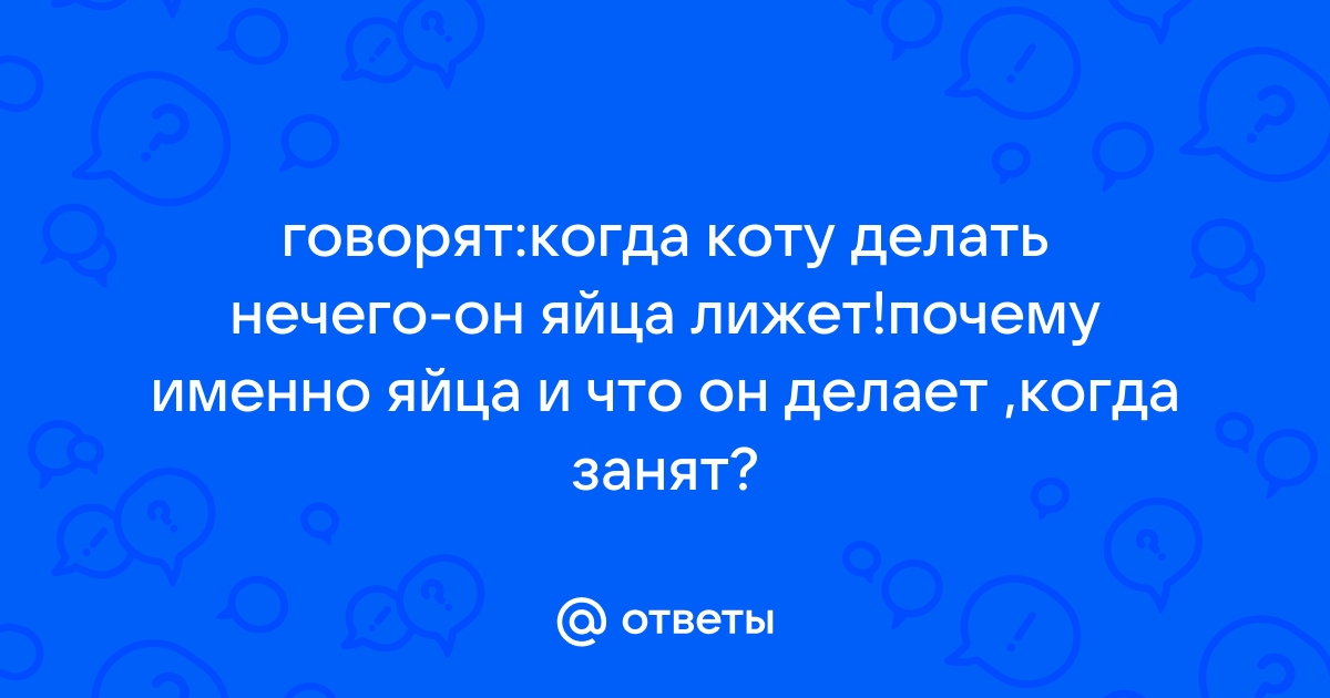 Когда коту делать нечего, он яйца лижет. — 10 ответов | форум Babyblog