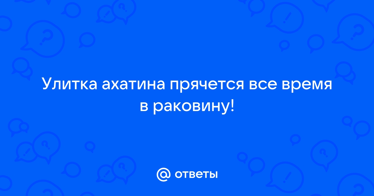 Почему улитка ахатина прячется глубоко в раковину