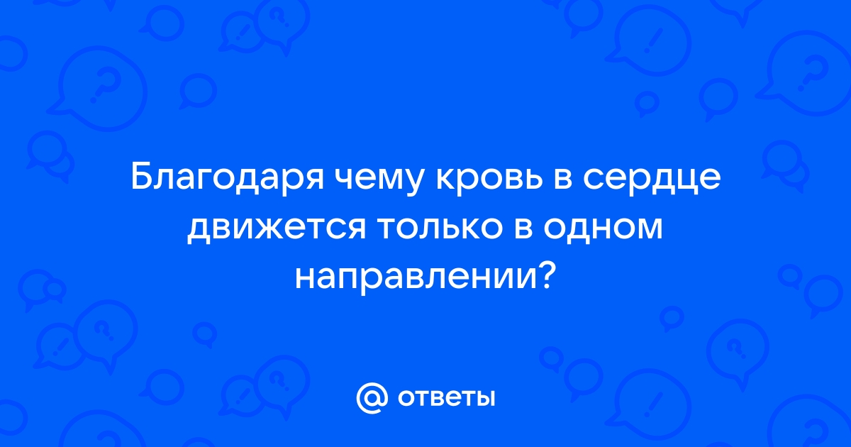 Сердечно-сосудистая система и что в нее входит