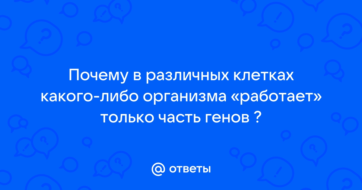 Регуляция активности генов. Опероны у бактерий • Биология, Молекулярная биология • Фоксфорд Учебник