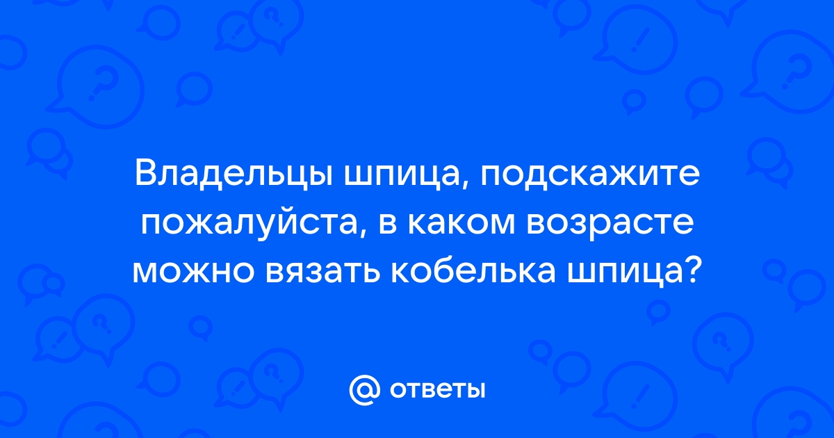 Вязка шпицев: правила, на какой день, дни овуляции