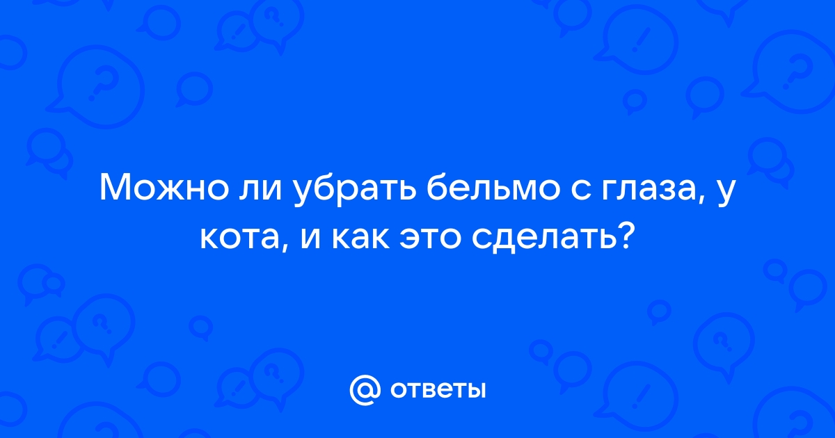 Травмы и повреждения глаз у животных. Что нужно и чего нельзя делать?