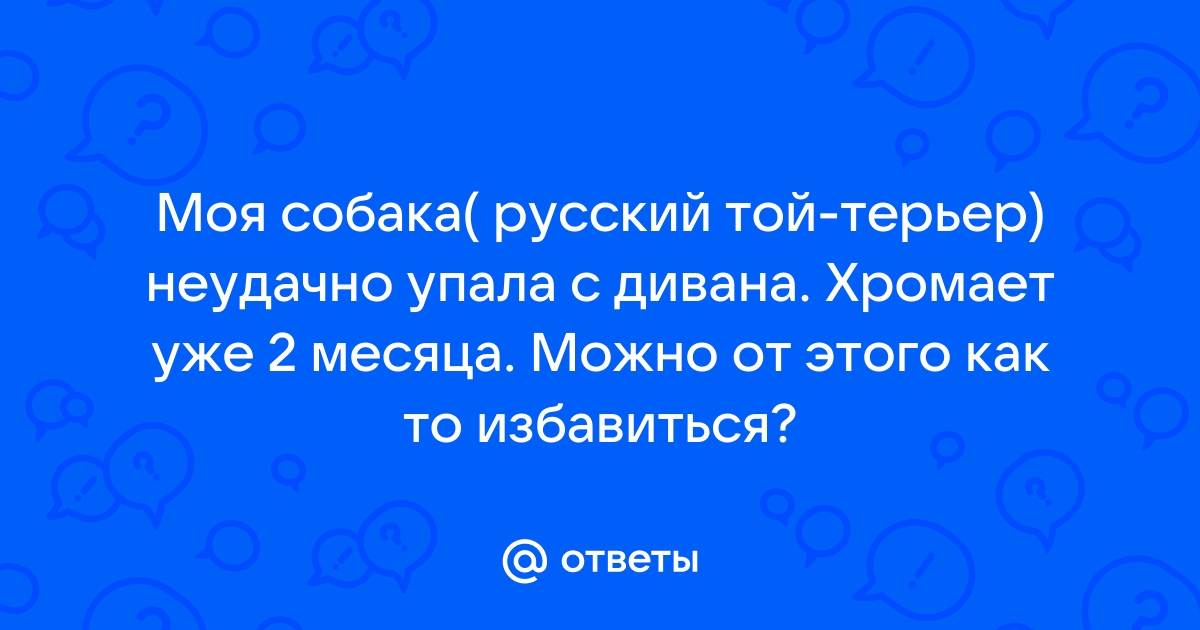 Щенок упал с дивана что делать