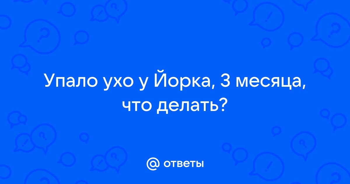 Миксоматоз кроликов - ГБУ КО «Боровская районная станция по борьбе с болезнями животных»