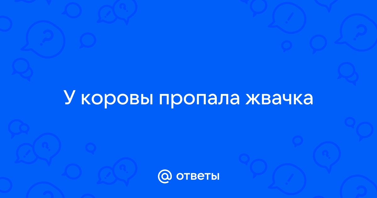 Особенности пищеварения жвачных