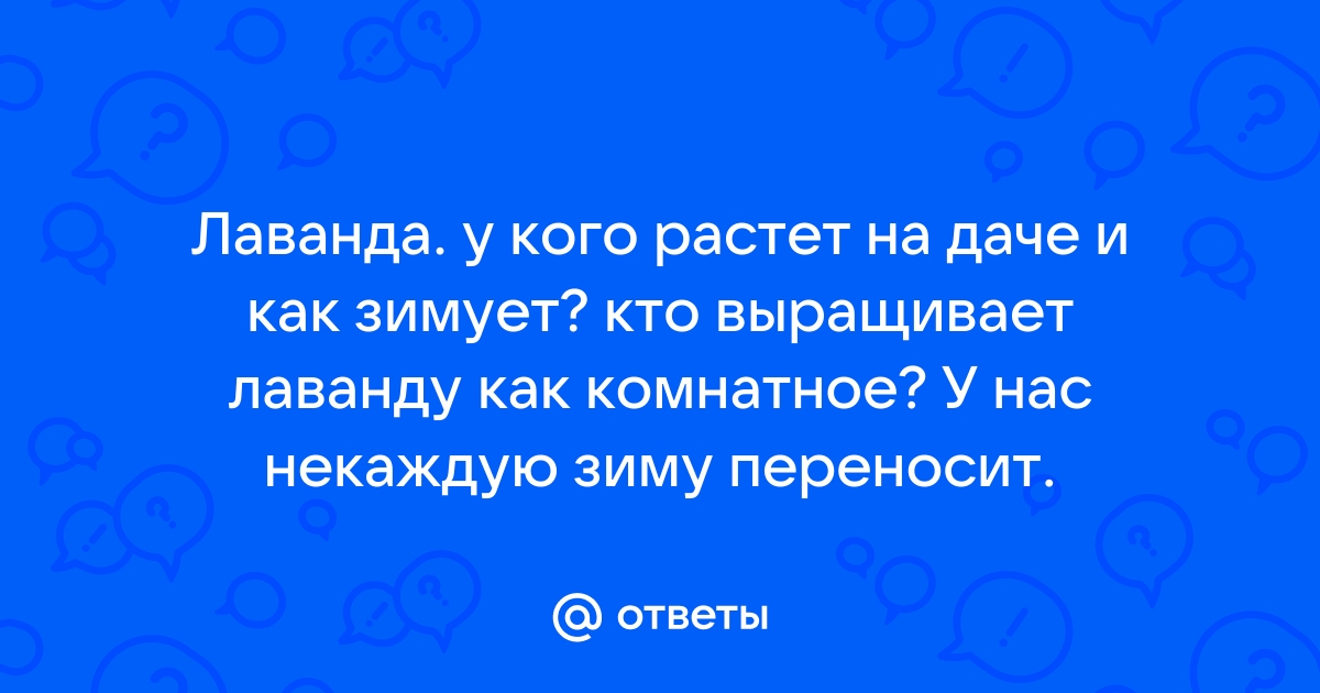 Что и как растёт на даче в Ленобласти в июне? Фото-статья (по заявкам). | Карта И. по Питеру | Дзен