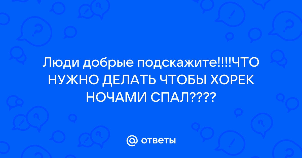 Сколько спят хорьки? | Хвост Ньюс