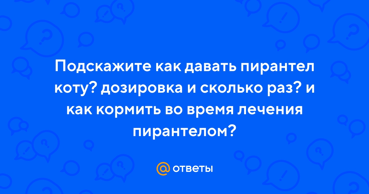 Ответы Mail.ru: Подскажите как давать пирантел коту? дозировка и сколько  раз? и как кормить во время лечения пирантелом?