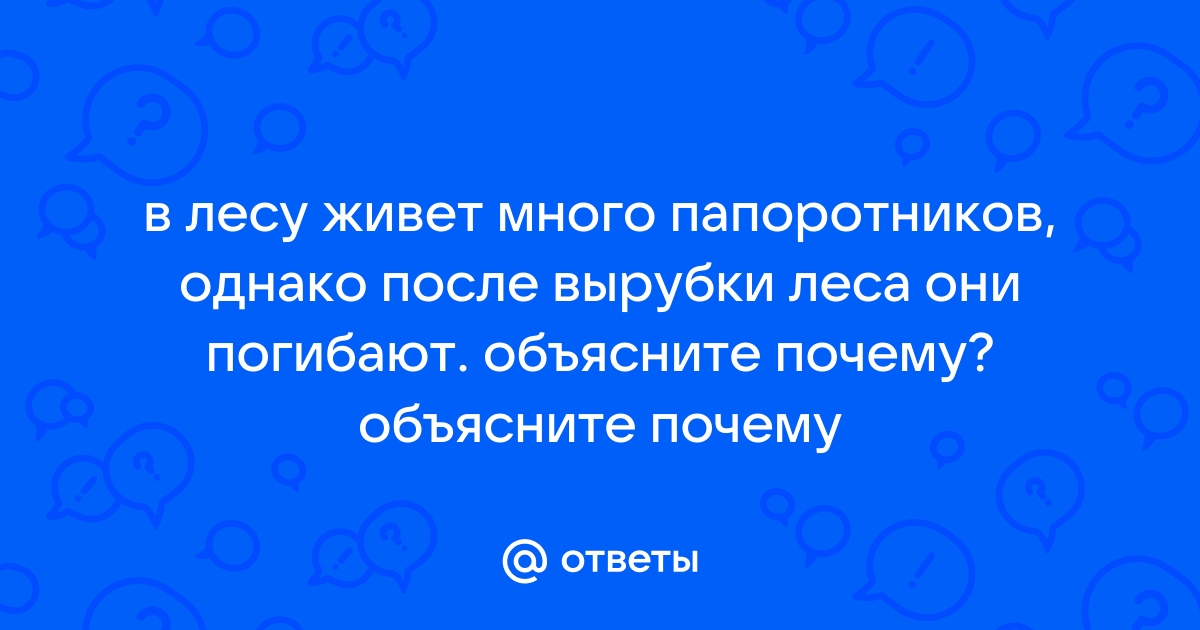 Ебут толпой в лесу: смотреть видео онлайн