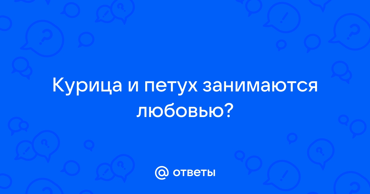 Куры:как петух оплодотворяет яйцо?