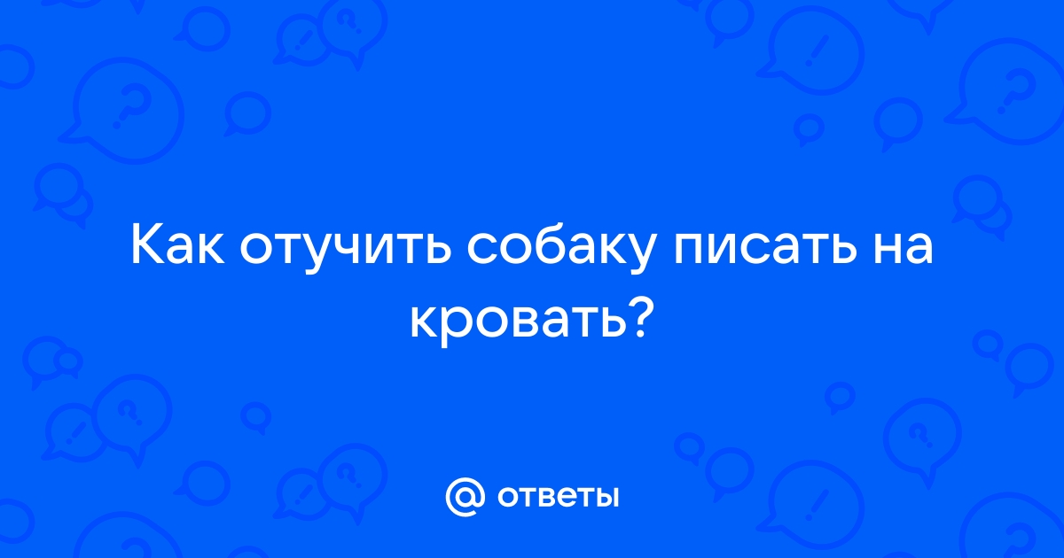 Отучить собаку писать на кровать