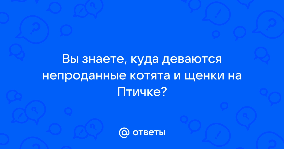 Куда деваются непроданные смартфоны