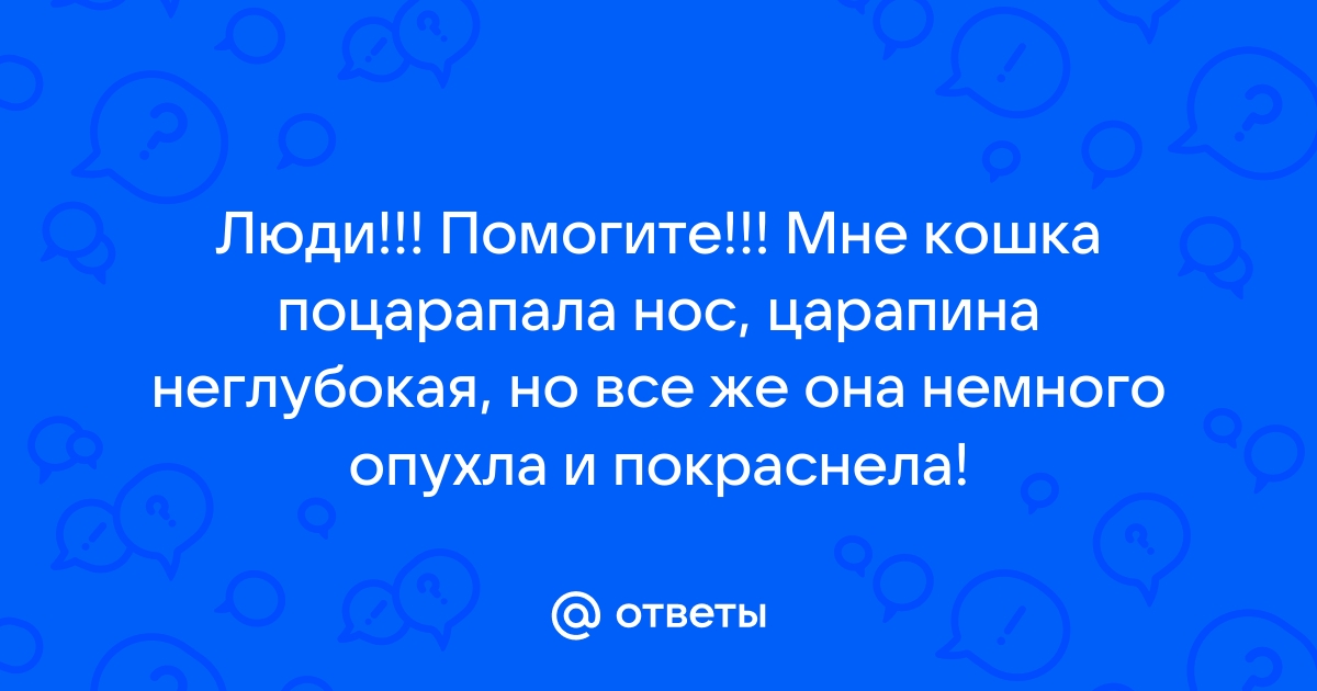 Чем опасны кошачьи царапины?