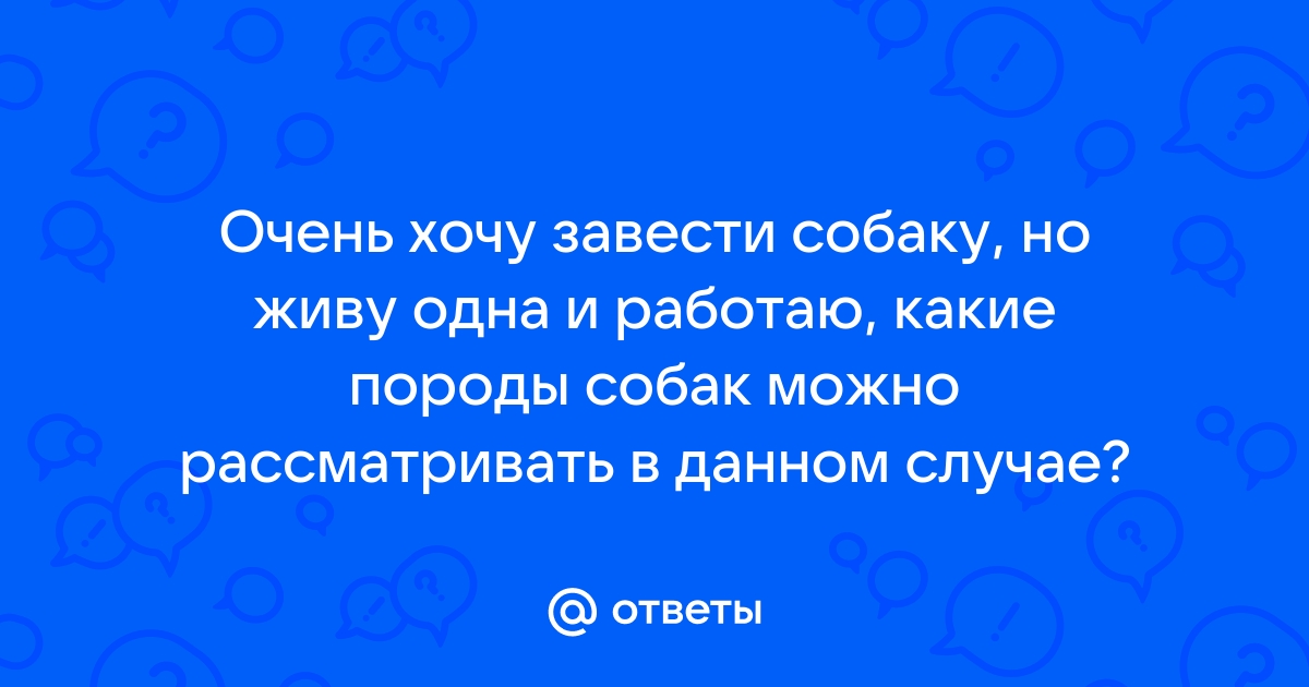 Почему собака лает, когда остается одна?