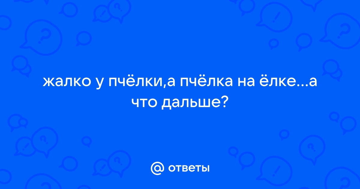 Жалко у пчелки фото