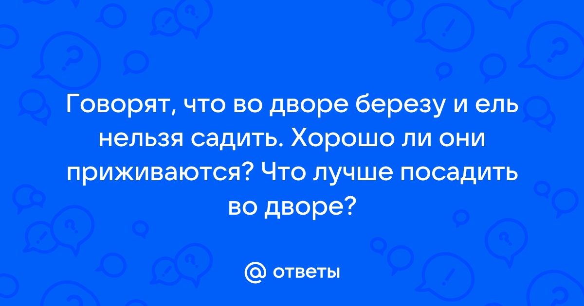 Какие деревья можно и нельзя сажать у дома: приметы наших предков — Украина